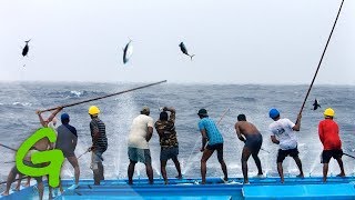 Catching tuna Maldivian style  Greenpeace [upl. by Ybab]