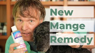 How to Treat Mange in Dogs at Home [upl. by Bink345]