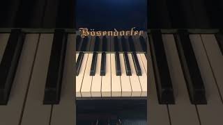 Bösendorfer Imperial Extra Bass 🤩 [upl. by Karna]