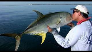 Beach Tarpon Fishing and Jack Crevalle off Satellite Beach Florida [upl. by Cristoforo263]