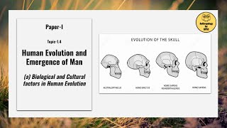 PaperI Topic14a Biological and Cultural factors in Human Evolution Part I [upl. by Akirea]