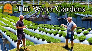 Managing a Hydroponic Herb Farm The Water Gardens Tour [upl. by Aicel]