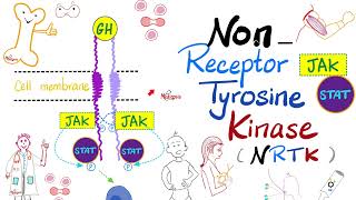 JAKSTAT Pathway — Nonreceptor Tyrosine Kinase NRTK  Cell Signaling  Endocrinology Playlist [upl. by Anrahc]