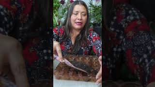 Tips para propagar suculentas por hoja correctamente plantas suculentas flores [upl. by Yelsel]