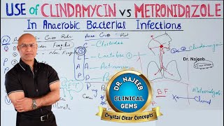 Clindamycin vs Metronidazole  Anaerobic Infection  Pharmacology💊 [upl. by Ashely624]