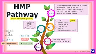 17 HMP pathway  Carbohydrate metabolism  Biochemistry  NJOY Biochemistry [upl. by Samoht]