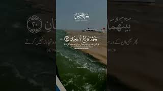 🌊 Surah RAHMAN  The Majestic Recitation of Two Oceans Meeting  SoulEnriching Quranic Verse 🌅🌊 [upl. by Avery]