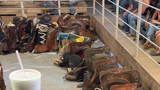 Elkhart Horse Auctions is going live Saddle and Outside Sale 07152023 [upl. by Rochester]