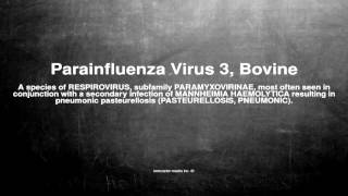 Medical vocabulary What does Parainfluenza Virus 3 Bovine mean [upl. by Elyn]