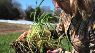 International Year of Soils July The Living Kingdoms Beneath Our Feet [upl. by Rayburn]