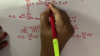 allosteric enzymes  enzyme kinetics noncoperative sites Hill equation part1 [upl. by Chabot738]