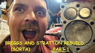 5hp briggs and stratton rebuild sorta part 1 [upl. by Nedak468]