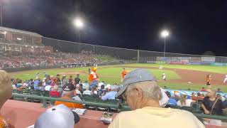 Sherman from Delmarva shorebirds doing the chicken dance [upl. by Donetta]