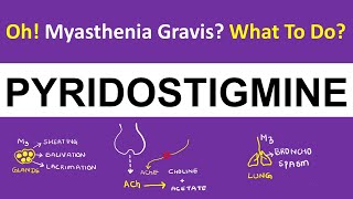 Pharmacology  Pyridostigmine  Myasthenia Gravis  How It Works [upl. by Haimes]