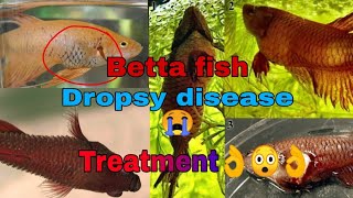 Dropsy Disease Betta Fish  Dropsy Fish Treatment and Care [upl. by Nnylrefinnej]