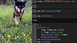 cv2 萬用VideoCapture套件抓rtsp mp4 攝影鏡頭與while迴圈使用 [upl. by Stonwin]