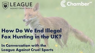 Closing the Loopholes The Fight to End Illegal Fox Hunting in the UK [upl. by Hakon]