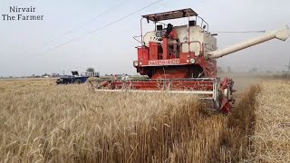 New Swaraj 8100 combine harvester in weat [upl. by Dewhirst]