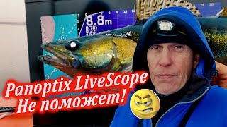 Panoptix LiveScope тут НЕ ПОМОЖЕТ Рыбалка в ноябре 2023 [upl. by Files]