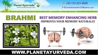 Brahmi Bacopa monnieri Benefits Properties Uses amp Side Effects [upl. by Rehpotsrik]