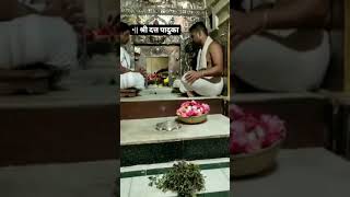 Live Darshan  Shri Datta Paduka  Nrusinhawadi Narsobachi Wadi [upl. by Eelarak]