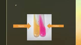 Biochemical tests  catalase Urease Oxidase Biochemicaltests [upl. by Noyrb]