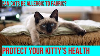 Can Cats Develop Allergies to Furniture Fabric” [upl. by Aihsatsan254]