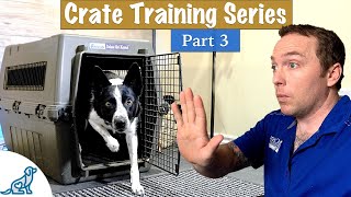 The Trick To Stop Your Puppy From Barging Out Of Their Crate [upl. by Fayette]