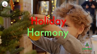 Holiday Harmony  Christmas Song  4K  CKM christmas christmassongs xmasgiftideas [upl. by Ardnola]