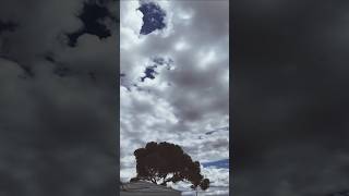 😱Storm Clouds Rolling Over Whyalla😱 shorts timelapse osmopocket3 [upl. by Nalani]