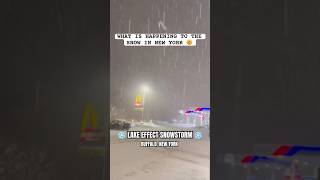 What is Happening to the Snow in New York  Lake Effect Snow Storm [upl. by Ushijima]