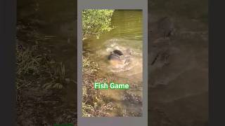 Big Fish Game Video [upl. by Haerle]