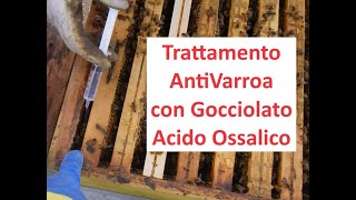 Gocciolato Acido Ossalico  Trattamento Anti Varroa [upl. by Carder248]