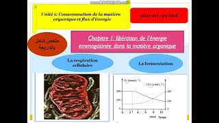 PC SVT CONSOMMATION DA LA MATIERE ET LE FLUX D ENERGIE [upl. by Broek]