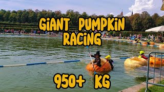 Worlds Largest Pumpkin Festival  Giant Pumpkin racing  Ludwigsburg  Kürbisausstellung [upl. by Ayekram688]