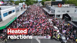 Treaty Principles Bill passes first reading  1News on TVNZ [upl. by Nova]