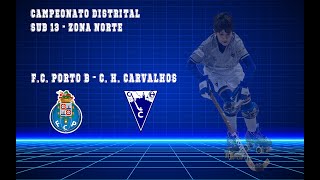 SUB 13  FC Porto VS CHC Full HD [upl. by Eenwahs178]