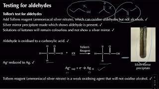 Testing for Carbonyls  Module 6 Organic Chemistry and Analysis  Chemistry  A Level  OCR A [upl. by Naget]