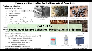 Part 1 Faces or stool sample collection preservation and shipment [upl. by Etnwahs780]