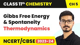 Gibbs Free Energy and Spontaneity  Thermodynamics  Class 11 Chemistry Chapter 5 [upl. by Nnomae820]