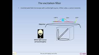 How to evaluate imaging efficiency and risk for bleedthrough Part 1 Basic microscopy [upl. by Cosma460]