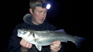 Sea Fishing For Bass With Fresh Peeler Crab [upl. by Anilef]