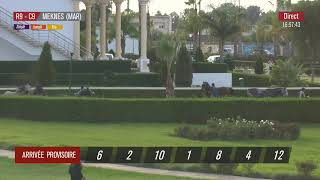 Live Hippodrome « MEKNES »  Courses du « 07112024 » [upl. by Cthrine]