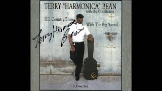 TERRY ‘HARMONICA’ BEAN – Hill Country Blues With The Big Sound 2010 FULL ALBUM [upl. by Aneev]