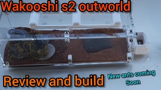 WAKOOSHI S2 OUTWORLD REVIEW AND BUILDING new ants [upl. by Seton]