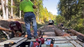 92824 Helping a friend move two huge logs into place to create bridge ramp Time Lapse Slower [upl. by Anselma]