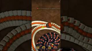 worms zone biggest snakewormate io biggest snakelittle big snake game videosnake iooggy snake [upl. by Sirapal166]