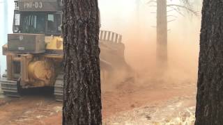 Dozer making fire line [upl. by Pia]