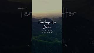 Tere Jeya Hor Disda  Cover [upl. by Reeva]