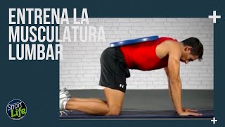 Entrenamiento para estabilizar musculatura lumbar  SPORT LIFE [upl. by Ardeha421]